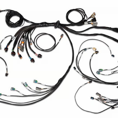 Haltech NEXUS R5 DBW Terminated Harness - DBW Ready/Injector Connector EV6