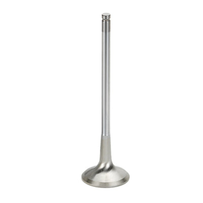 Supertech SB Chevy 1.625x.341x5.010in Chrome Undercut Exhaust Valve - Single (Drop Ship Only)