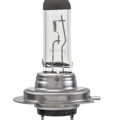 Hella High Wattage Bulb H7 12V 100W PX26d T4.6 (Pair)