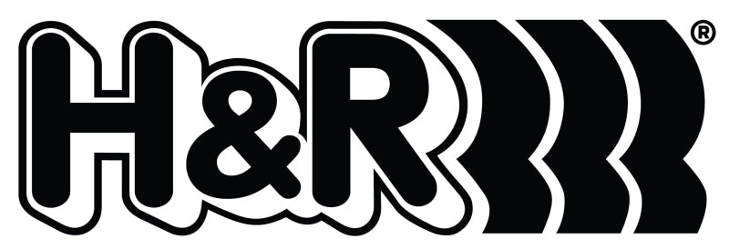 H&R Wheel Bolts 14 X 1.5 / Length 45mm / Audi Ball / Head 17mm - Set of 10
