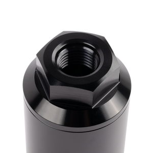 AEM 10 Micron Fuel Filter