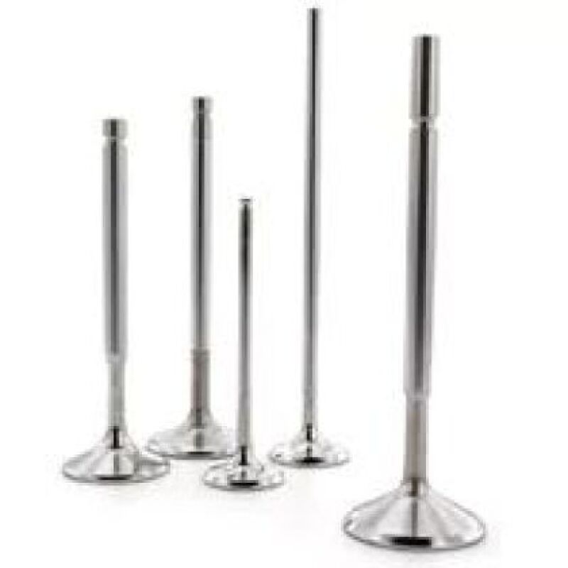 Ferrea 02-09 Suzuki DR-Z400 1000 30mm Head 4.96mm Stem Dia Competition Exhaust Valve - Set of 2