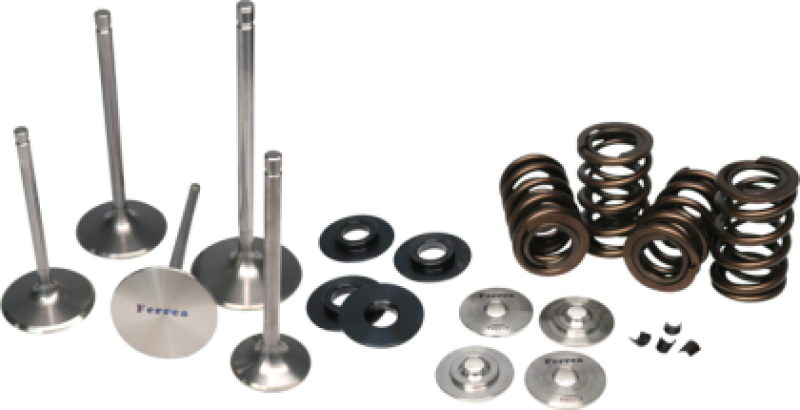 Ferrea 01-06 BMW S54 Dual Spring Kit