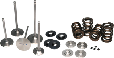 Ferrea Nissan Skyline RB26 Dual Valve Springs Kit