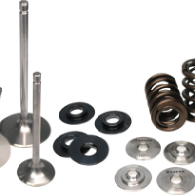 Ferrea Nissan Skyline RB26 Dual Valve Springs Kit