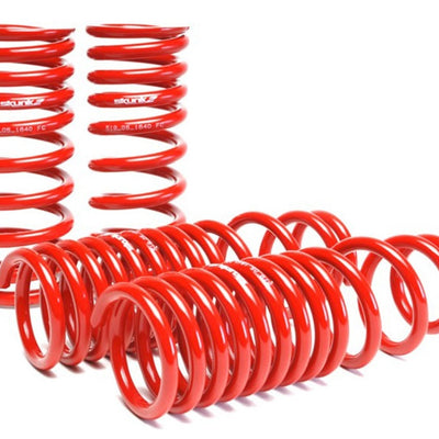 Skunk2 90-93 Acura Integra Lowering Springs (2.50in - 2.25in.) (Set of 4)
