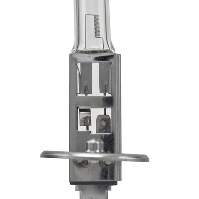 Hella Bulb H1 12V 55W P145S T25 +50