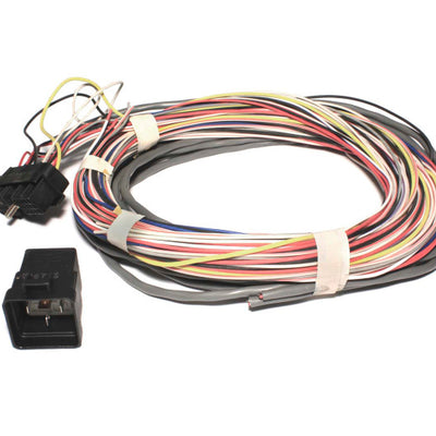 FAST Wiring Harness FAST Universal