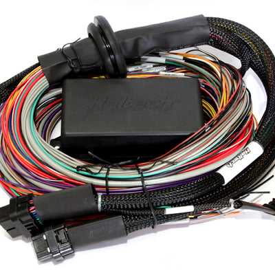 Haltech Elite 2500/2500 T Premium Universal Wire-In Harness - 2.5m (8ft)