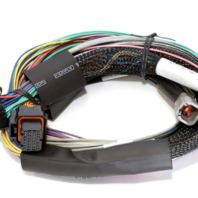 Haltech Elite 2500 Basic Universal Wire-In Harness w/o Relays or Fuses - 2.5m (8ft)