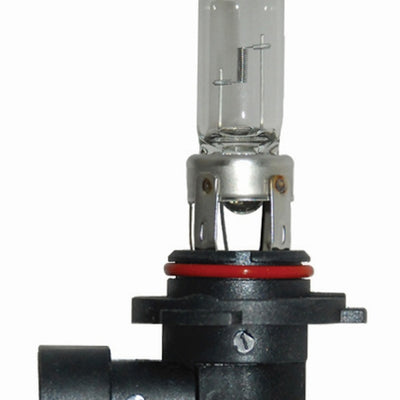 Hella Bulb 9005/Hb3 12V 65W P20D T4 (2)