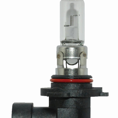 Hella 9005/HB3 12V 100W P20d T4 Halogen Bulb