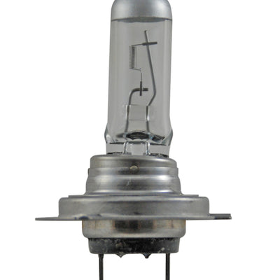 Hella Bulb H7 12V 55W Px26D T4625 +50