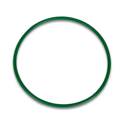 Vibrant Replacement O-Ring for 2.50in HD Weld Fittings