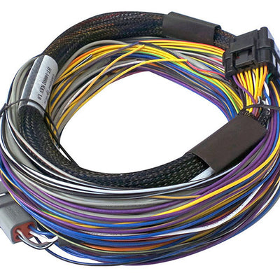 Haltech Elite 750 Basic Universal Wire-In Harness - 2.5m (8ft)