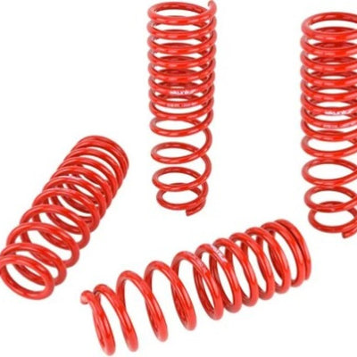 Skunk2 92-95 Honda Civic/Del Sol Lowering Springs (2.50in - 2.25in.) (Set of 4)