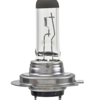 Hella Bulb H7 12V 55W Px26D T4625 (2)