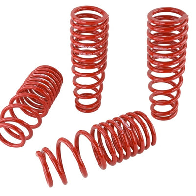 Skunk2 94-01 Acura Integra Lowering Springs (2.50in - 2.25in.) (Set of 4)