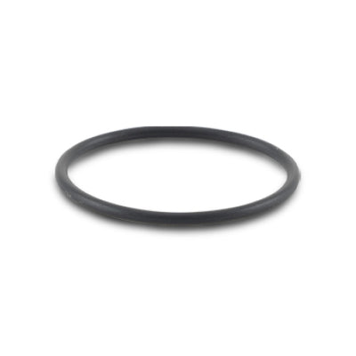 Vibrant -025 O-Ring for Oil Flanges